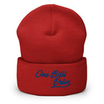 One Bills Drive Skully