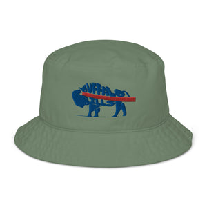 Bills of Buffalo Bucket Hat