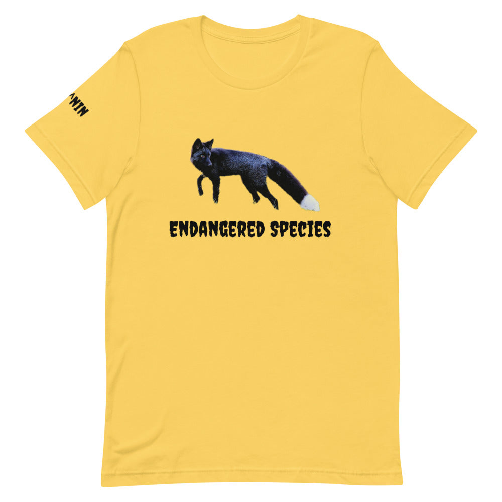 Endangered Species- Melanated Fox